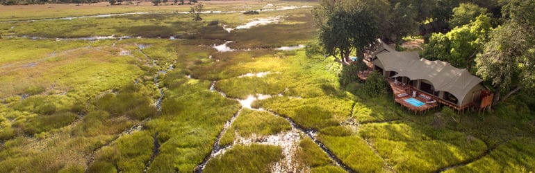 Duba Plains Camp