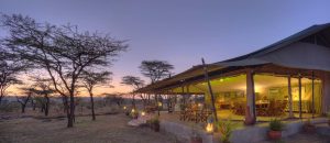 Kicheche Bush Camp Tent