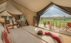 Kicheche Mara North View From Tent