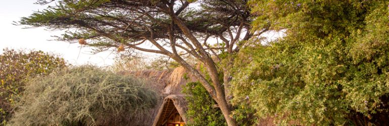 Lewa Wilderness Lodge