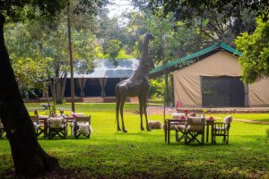 Nairobi Tented Camp Outdoor Ambience