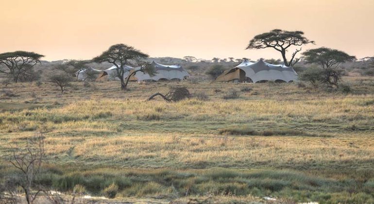 Namiri Plains Camp