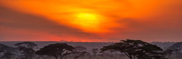Namiri Plains sunset