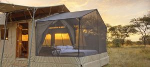 Olakira Migration Camp Star Gazing Tent