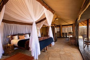 Oliver's Camp Tent Interior