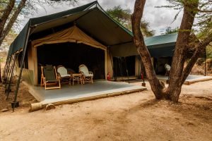 Porini Amboseli Camp Tent View