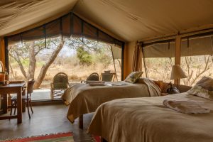 Porini Amboseli Camp View From Tent