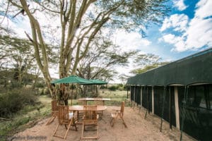 Porini Cheetah Camp Exteriors