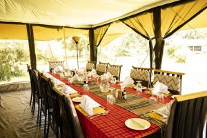 Porini Lion Camp Dining