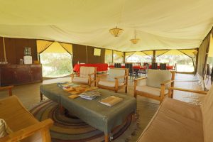 Porini Lion Camp Lounge