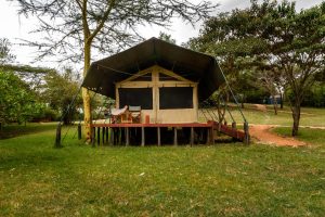 Porini Mara Camp Tent