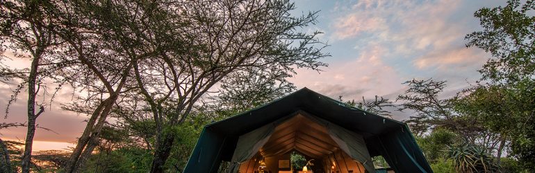 Porini Mara Camp Tent View