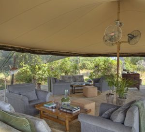 Roho Ya Selous Lounge