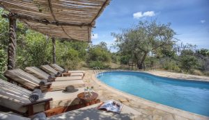 Roho Ya Selous Pool