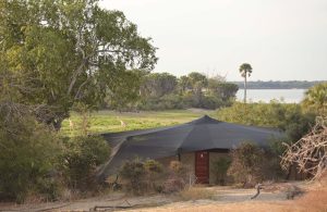 Roho Ya Selous Tent View