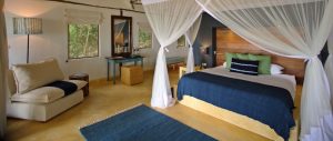 Rubondo Island Camp Tent Interior
