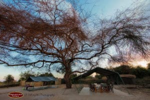 Selenkay Adventure Camp Lounge