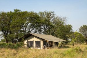 Ubuntu Migration Camp Tent