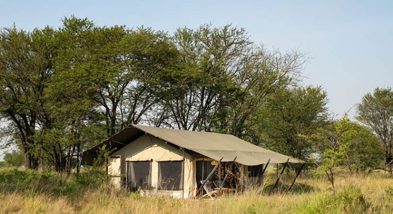 Ubuntu Migration Camp Tent