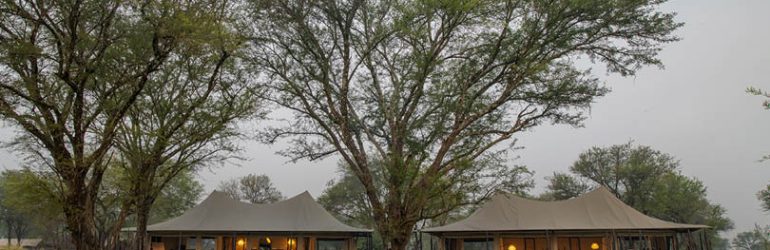 Ubuntu Migration Camp View