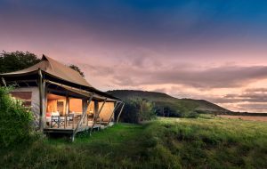 Andbeyond Kichwa Tembo Tented Camp Tent