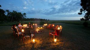 Elephant Pepper Camp Campfire