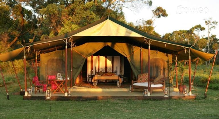 Elephant Pepper Camp Front View