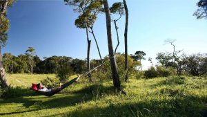 Elephant Pepper Camp Hammock