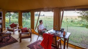 Elephant Pepper Camp Lounge