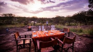 Elewana Serengeti Migration Camp Bush Breakfast
