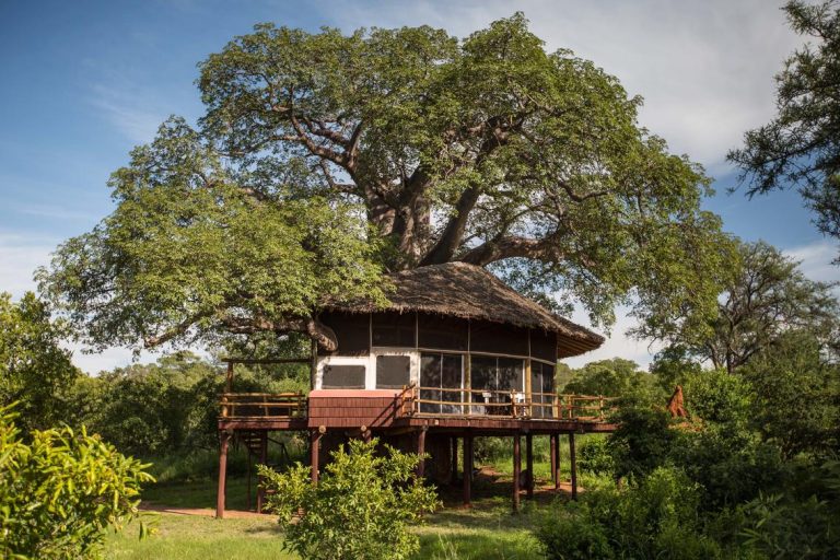 Elewana Tarangire Treetops View