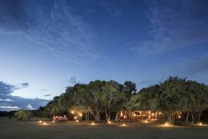 Encounter Mara View At Night