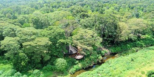 Kitich Forest Camp Aerial View