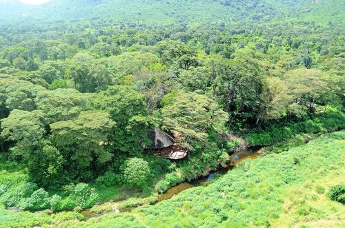 Kitich Forest Camp Aerial View