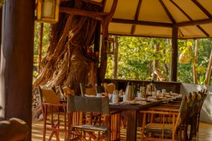 Kitich Forest Camp Dining