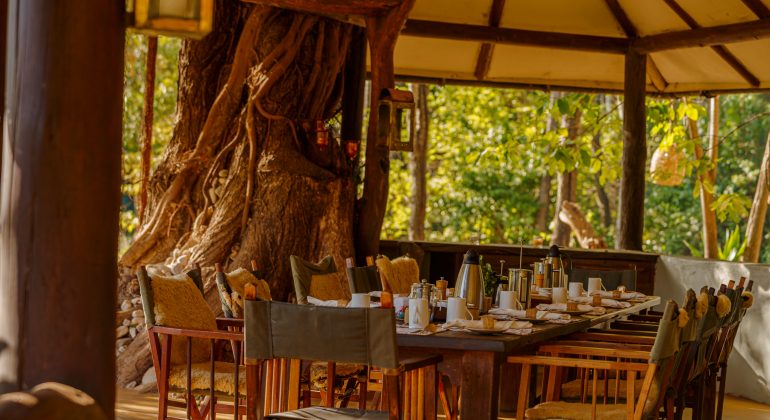 Kitich Forest Camp Dining