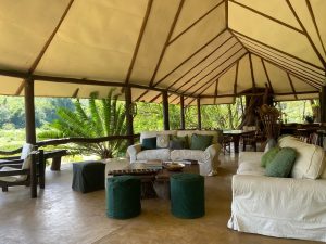 Kitich Forest Camp Lounge