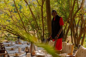 Kitich Forest Camp Outdoors
