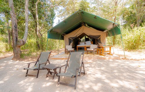 Kitich Forest Camp Tent