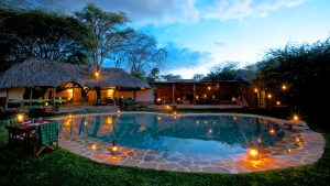 Lewa Safari Camp Pool