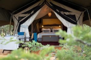 Mara Expedition Tent View