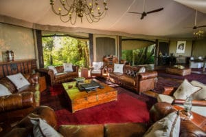 Mara Plains Camp Lounge 1