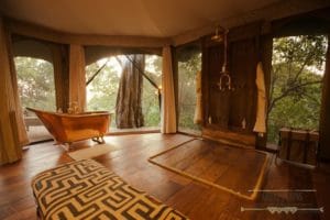 Mara Plains Camp Lounge