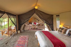 Ol Pejeta Bush Camp Tent Interior