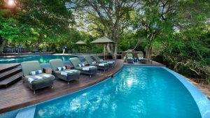 Phinda Forest Lodge Pool