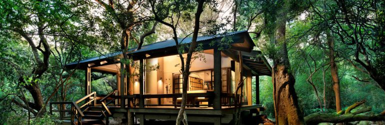 Phinda Forest Lodge Suite Exterior