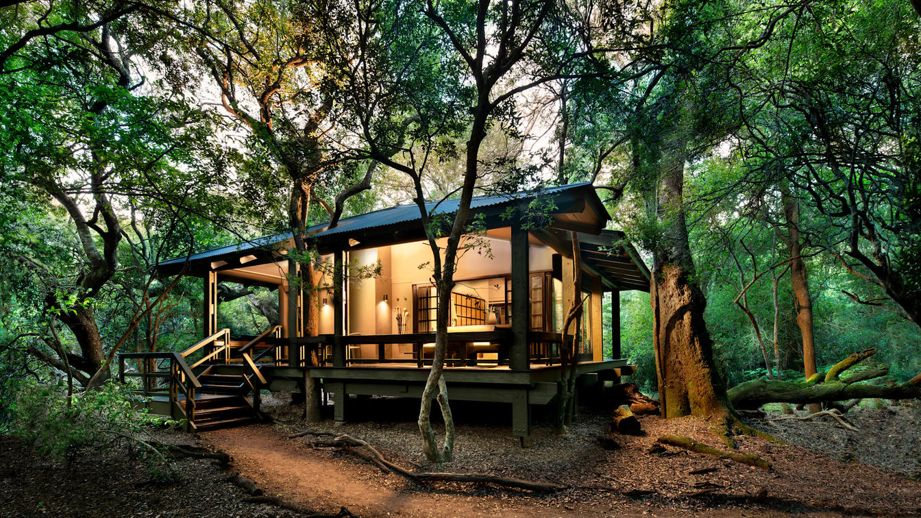 Phinda Forest Lodge Suite Exterior