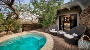 Phinda Mountain Lodge Pool