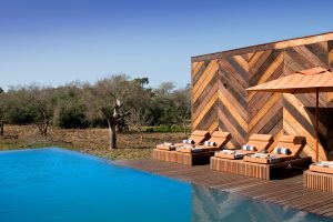 Phinda The Homestead Pool