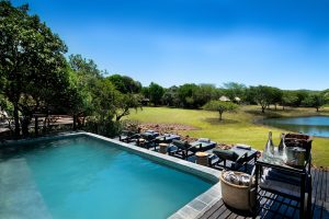 Phinda Zuka Lodge Pool